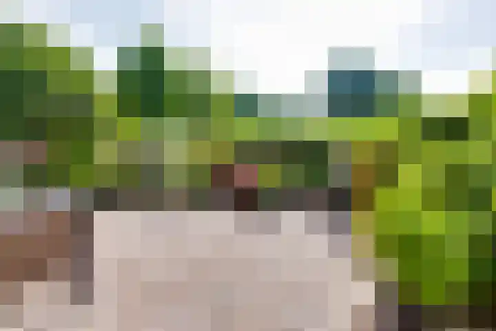 Nassauhof 3 Terborg thumbnail 49
