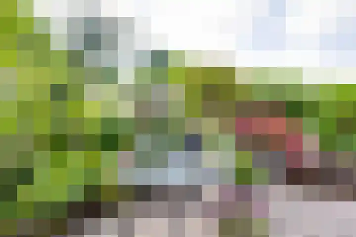 Nassauhof 3 Terborg thumbnail 52