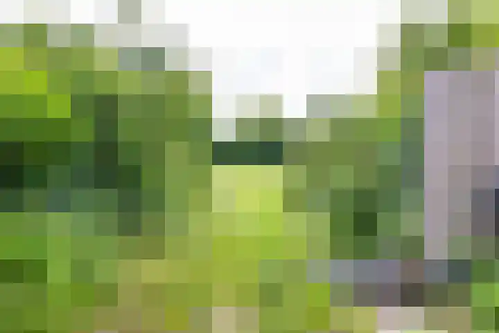 Nassauhof 3 Terborg thumbnail 59