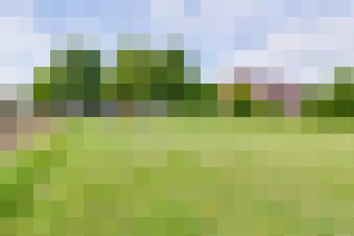 Nassauhof 3 Terborg thumbnail 60