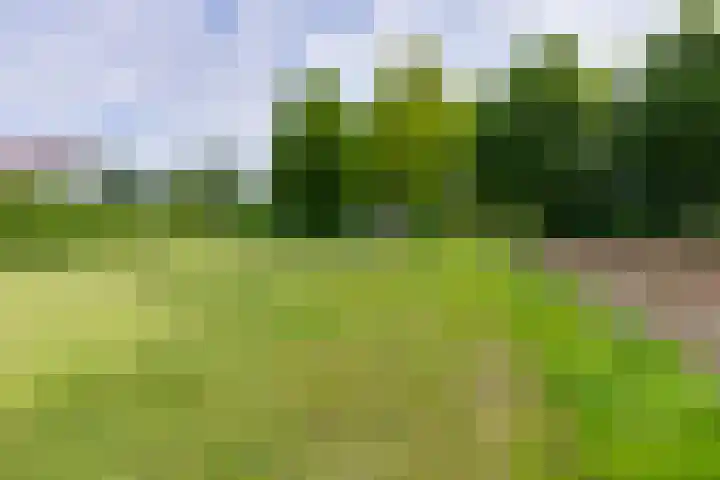 Nassauhof 3 Terborg thumbnail 62