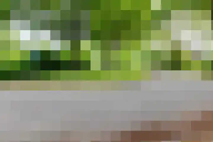 Nassauhof 3 Terborg thumbnail 64