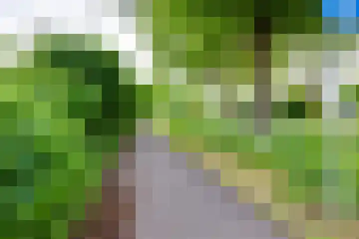 Nassauhof 3 Terborg thumbnail 65