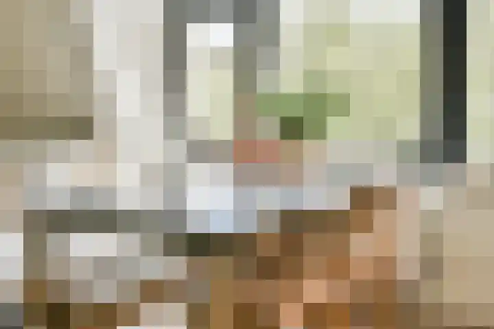 Nassaukade 153 E Amsterdam thumbnail 6