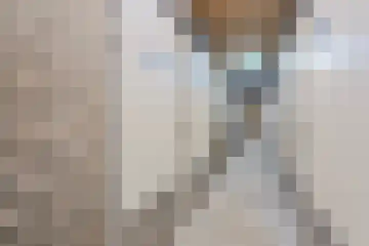 Nassaustate 11 Roermond thumbnail 21