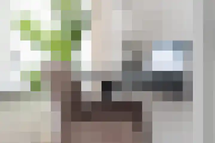 Nassaustraat 10 Groot-Ammers thumbnail 24