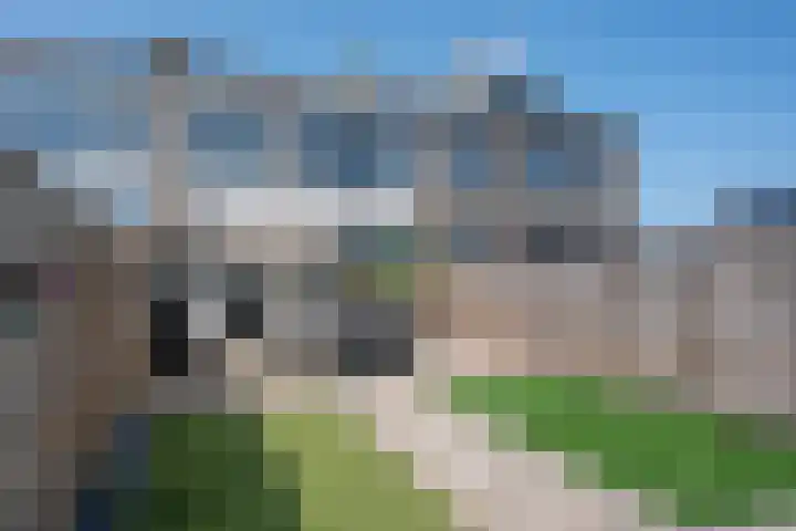 Nassaustraat 10 Groot-Ammers thumbnail 30