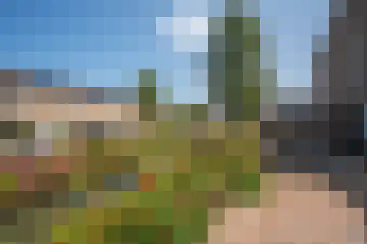 Nassaustraat 10 Groot-Ammers thumbnail 32