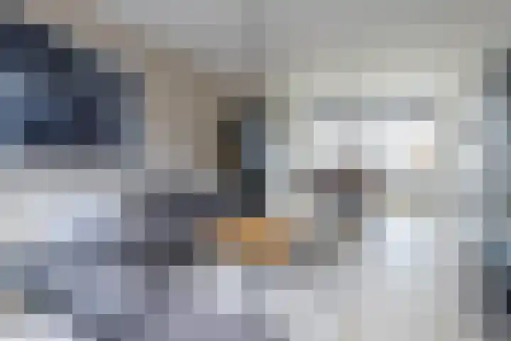 Nassaustraat 10 Groot-Ammers thumbnail 4