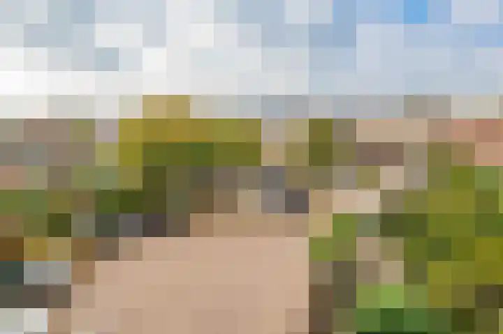 Nassaustraat 110 Lisse thumbnail 30