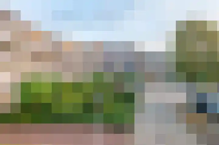 Nassaustraat 110 Lisse thumbnail 4