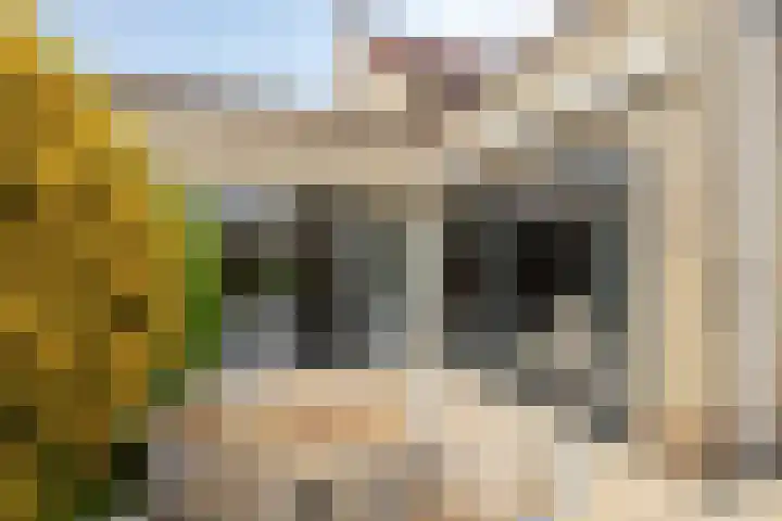 Nassaustraat 15 Breukelen thumbnail 31