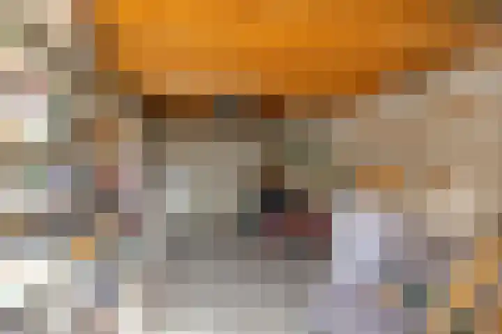 Nassaustraat 15 Breukelen thumbnail 33