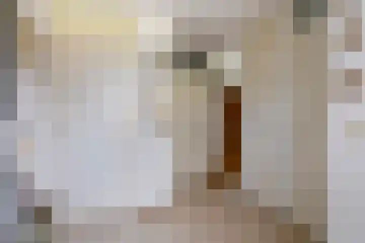 Nassaustraat 15 Breukelen thumbnail 4