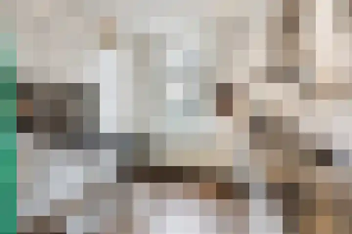 Nassaustraat 18 Velp thumbnail 10