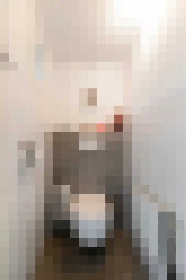 Nassaustraat 18 Velp thumbnail 14