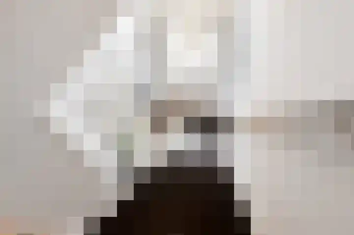 Nassaustraat 18 Velp thumbnail 15