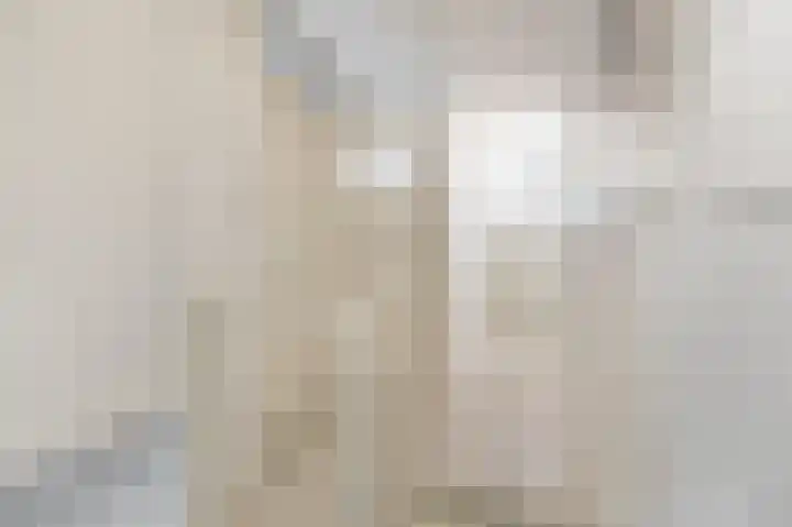Nassaustraat 18 Velp thumbnail 16