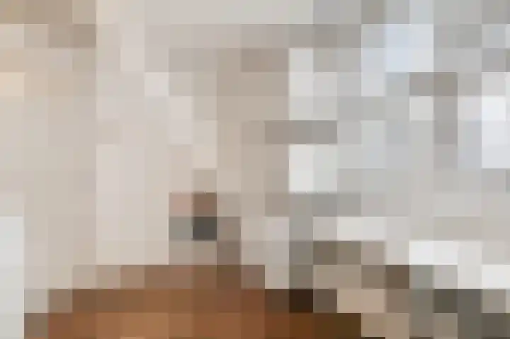 Nassaustraat 18 Velp thumbnail 19