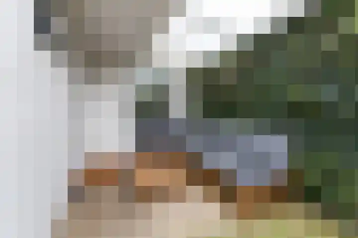 Nassaustraat 18 Velp thumbnail 27