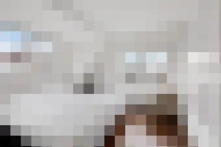 Nassaustraat 18 Velp thumbnail 4
