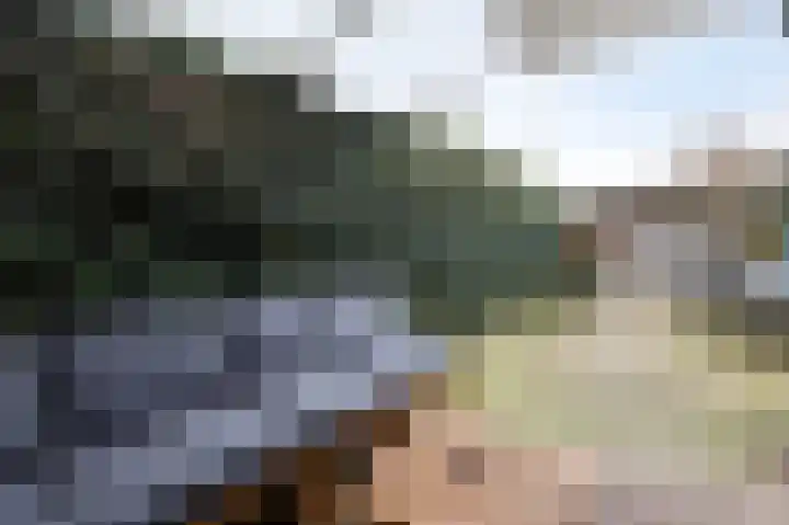 Nassaustraat 18 Velp thumbnail 5