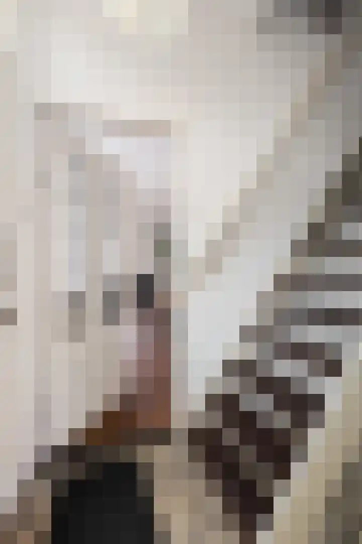 Nassaustraat 18 Velp thumbnail 6