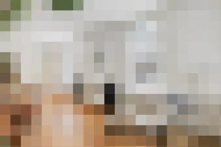 Nassaustraat 18 Velp thumbnail 9