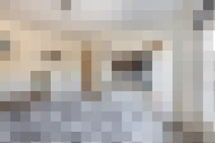 Nassaustraat 19 Lisse thumbnail 17