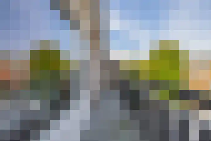 Nassaustraat 19 Lisse thumbnail 20