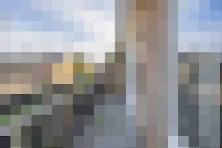 Nassaustraat 19 Lisse thumbnail 21