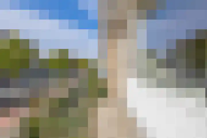 Nassaustraat 19 Lisse thumbnail 27