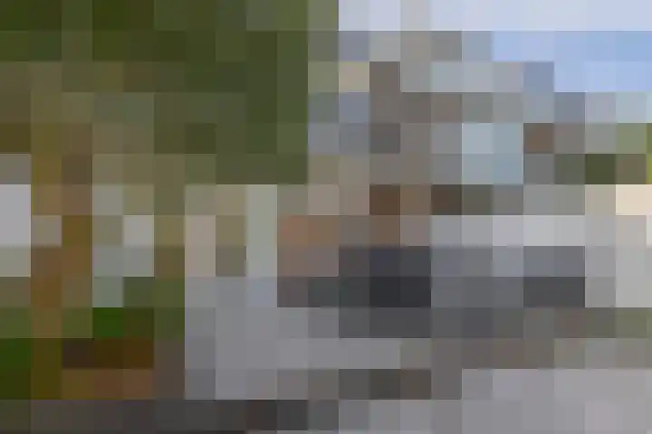 Nassaustraat 19 Lisse thumbnail 31