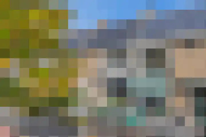 Nassaustraat 19 Lisse thumbnail 38