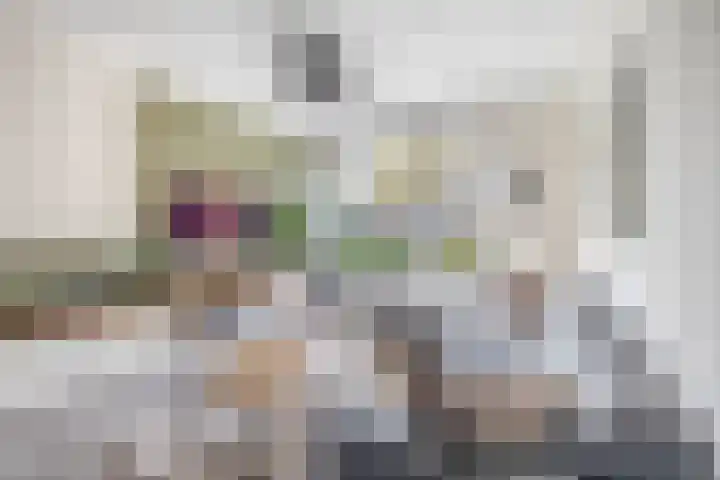 Nassaustraat 19 Lisse thumbnail 4