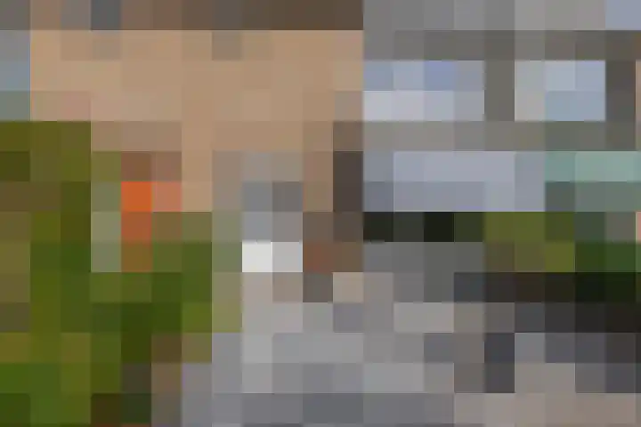 Nassaustraat 19 Lisse thumbnail 40