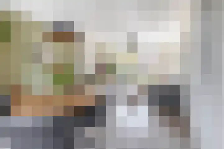 Nassaustraat 19 Lisse thumbnail 7