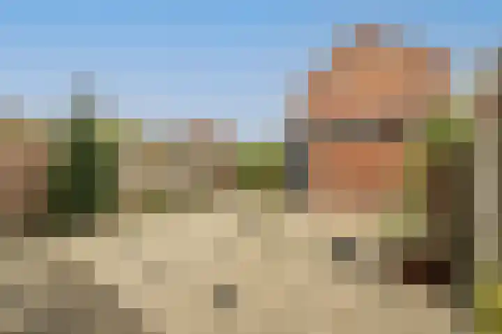 Nassaustraat 25 Strijen thumbnail 22