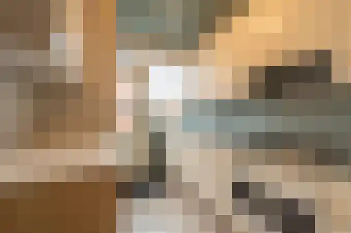 Nassaustraat 25 Strijen thumbnail 8