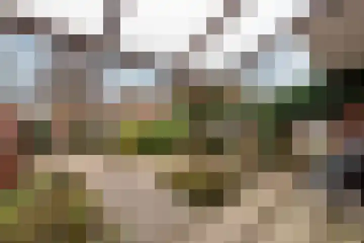 Nassaustraat 3 Bunnik thumbnail 17
