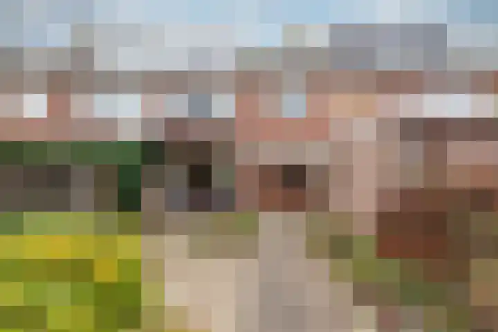 Nassaustraat 3 Bunnik thumbnail 21