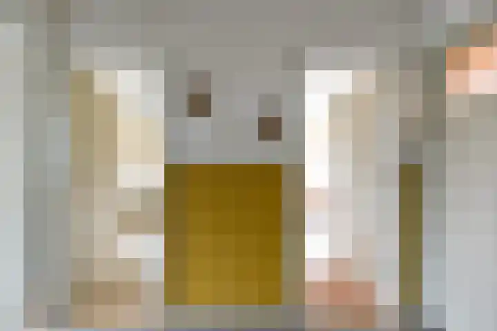 Nassaustraat 3 Bunnik thumbnail 23