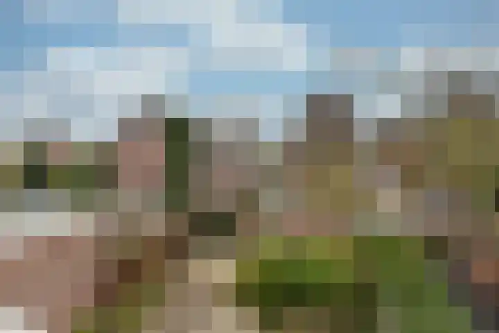 Nassaustraat 3 Bunnik thumbnail 26