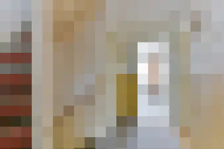 Nassaustraat 3 Bunnik thumbnail 31