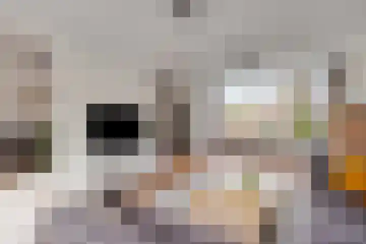 Nassaustraat 32 Best thumbnail 18