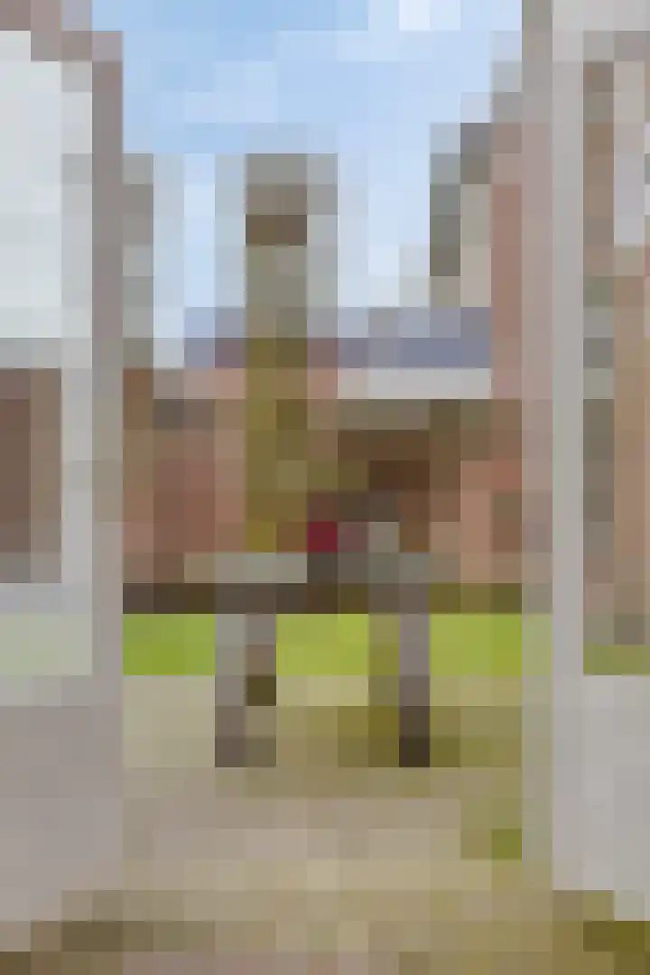 Nassaustraat 32 Best thumbnail 22