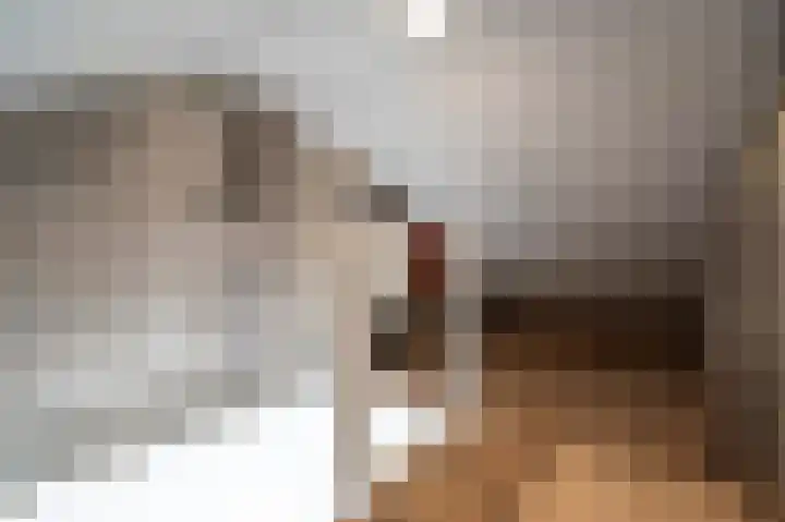 Nassaustraat 4 Groot-Ammers thumbnail 24