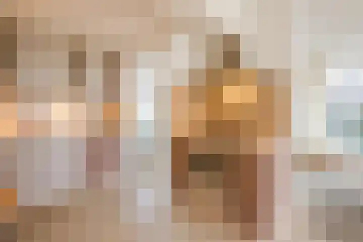 Nassaustraat 4 Vroomshoop thumbnail 18
