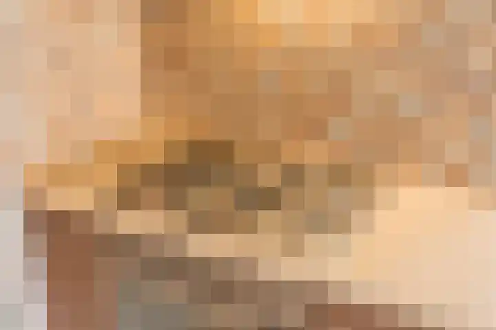Nassaustraat 4 Vroomshoop thumbnail 21