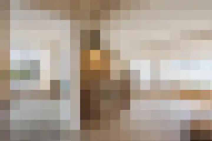 Nassaustraat 4 Vroomshoop thumbnail 23